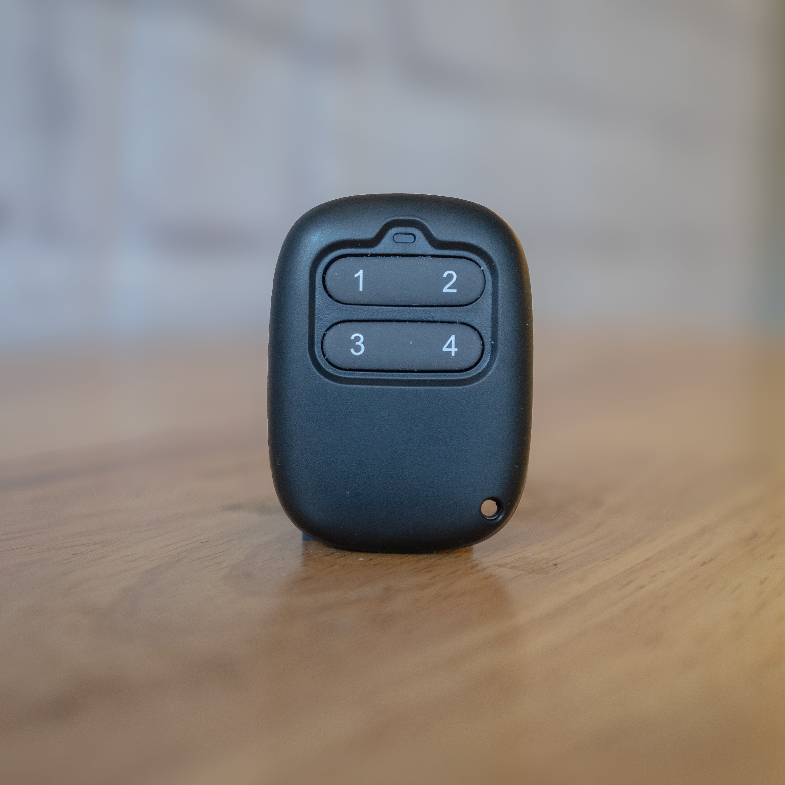 Extra Remote Control