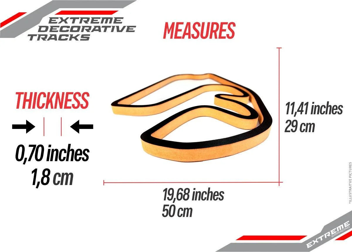 ESR DECORATIVE TRACK - INTERLAGOS / BRAZIL