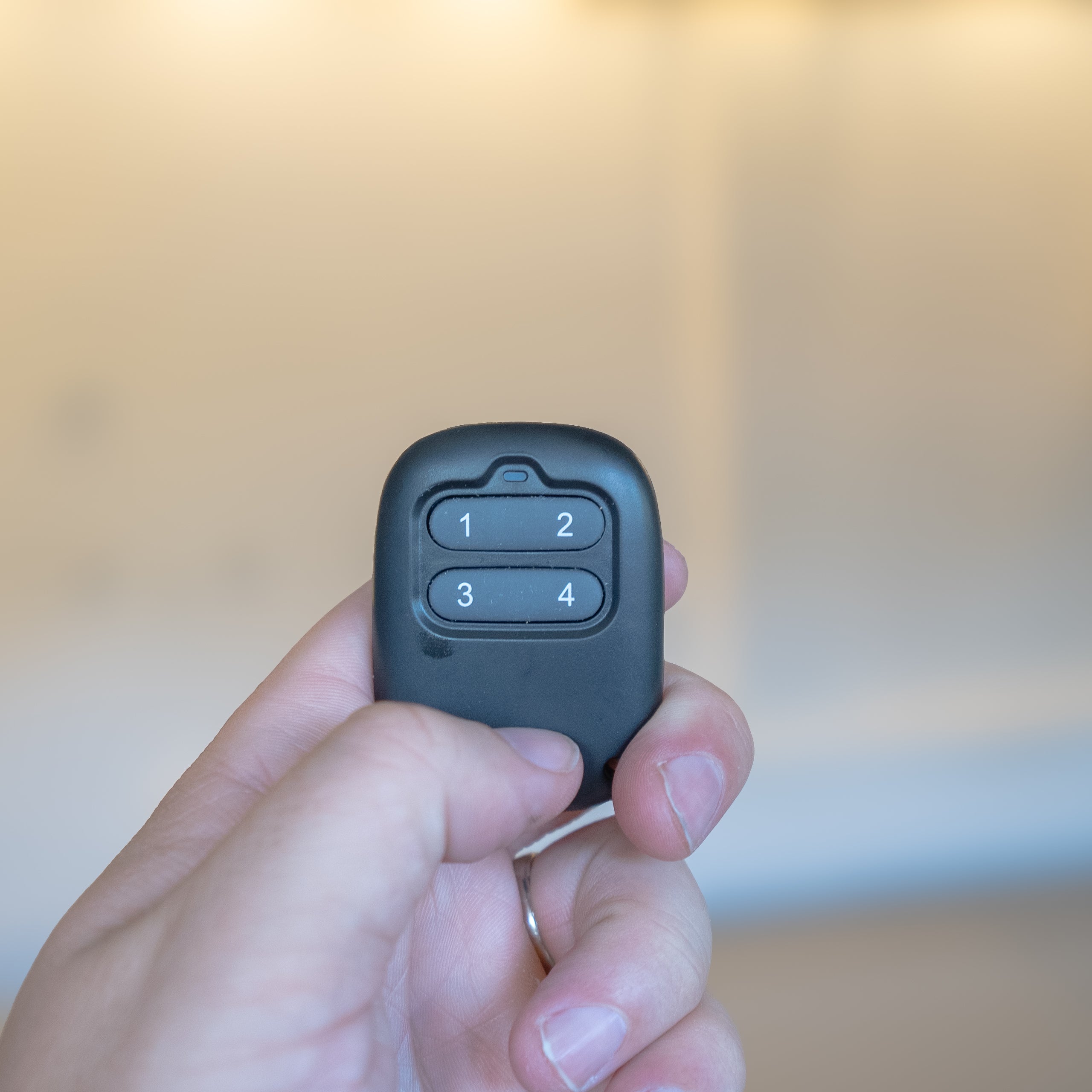 Extra Remote Control